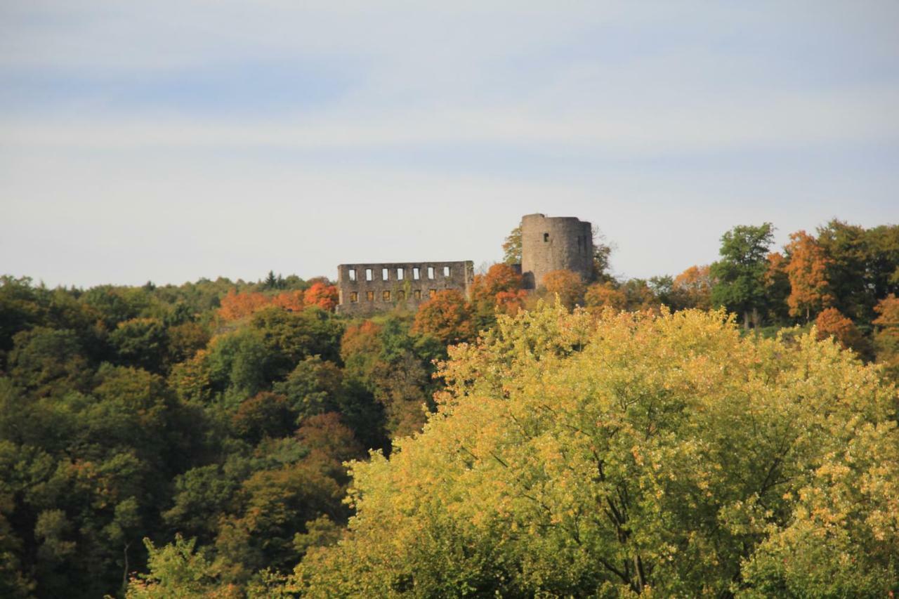 "Fewo Am Siegsteig" Apartment Dattenfeld Bagian luar foto